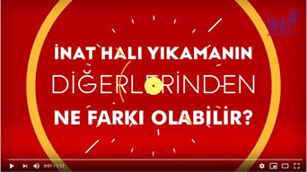 Hali Yikat Agac Dik